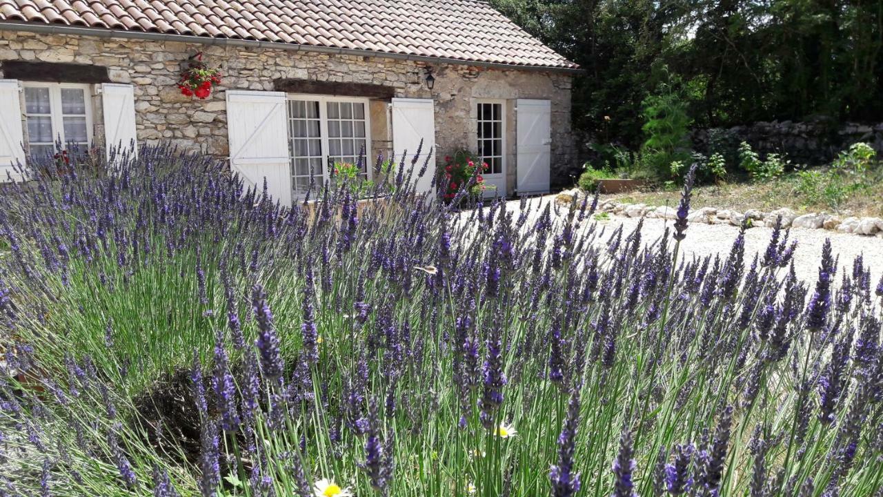 Les Vitarelles En Quercy Bed and Breakfast Berganty Esterno foto